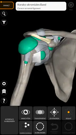 Anatomie - 3D Atlas screenshot