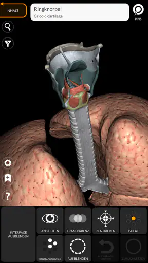 Anatomie - 3D Atlas screenshot