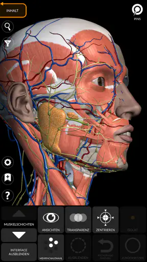 Anatomie - 3D Atlas screenshot