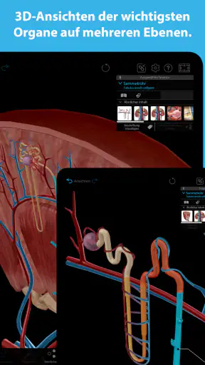 Atlas der Humananatomie 2025 screenshot