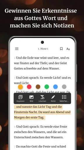 Bibel-Offline DELUT screenshot