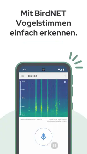 BirdNET screenshot