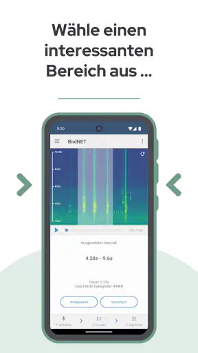 BirdNET screenshot