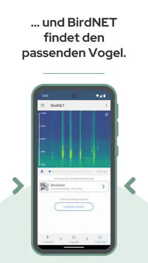 BirdNET screenshot