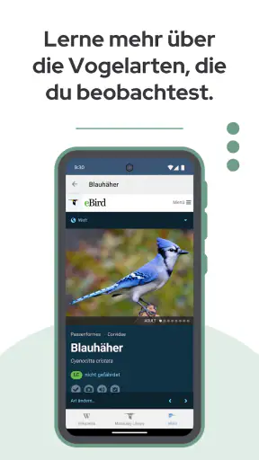 BirdNET screenshot