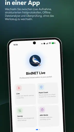 BirdNET Live screenshot