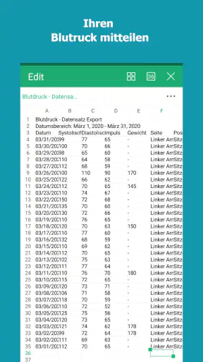 Blutdruck-Tagebuch screenshot