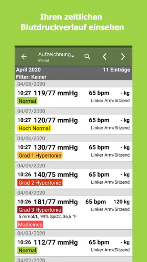 Blutdruck-Tagebuch screenshot