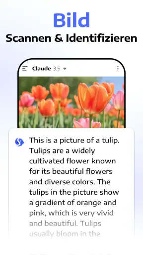 Chatbot Assistant - AI Seek screenshot