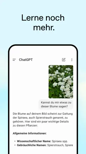 ChatGPT screenshot