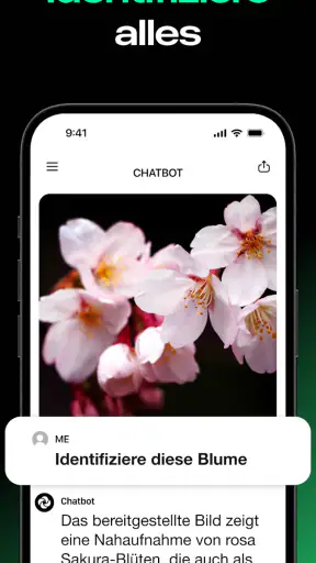 ChatGPT-basierter Chatbot screenshot