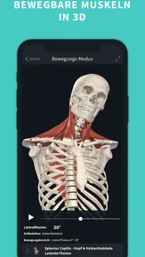 Complete Anatomy screenshot