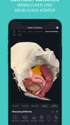 Complete Anatomy screenshot