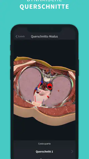 Complete Anatomy screenshot