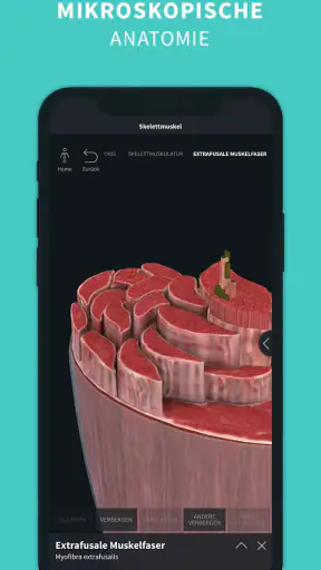 Complete Anatomy screenshot