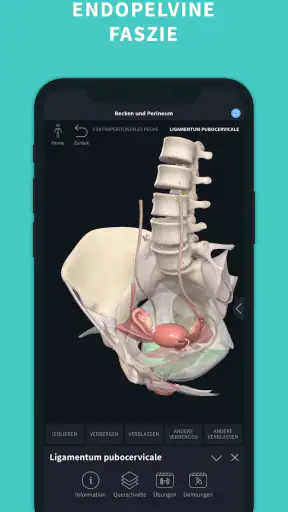 Complete Anatomy screenshot