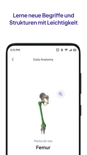 Daily Anatomy Lernkarten screenshot