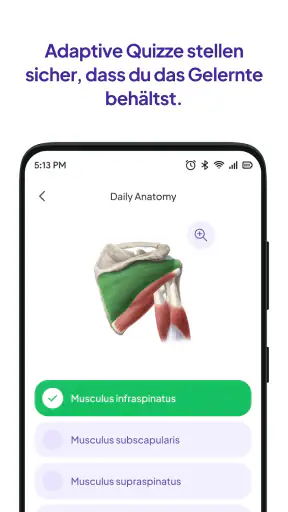 Daily Anatomy Lernkarten screenshot