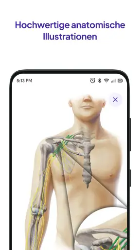 Daily Anatomy Lernkarten screenshot