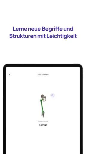 Daily Anatomy Lernkarten screenshot