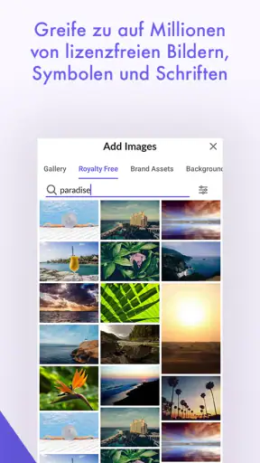 Desygner: Grafik-Design Editor screenshot