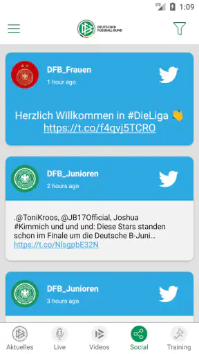 DFB screenshot