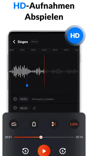 Diktiergerät & Sprachmemos screenshot