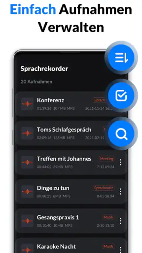 Diktiergerät & Sprachmemos screenshot