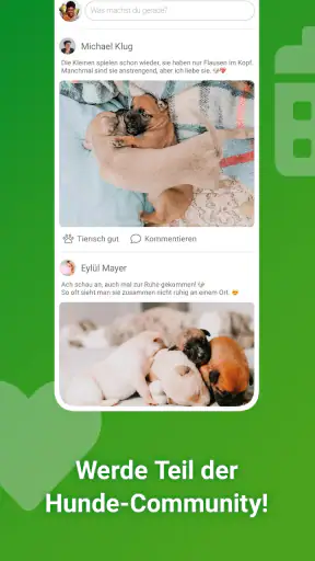 Dogorama – Die Hunde-Community screenshot