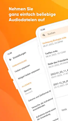Einfaches Diktiergerät screenshot