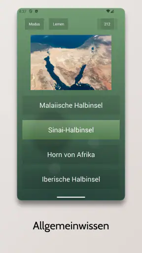 Endlos-Quiz Pro screenshot