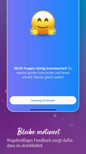 Fahren Lernen 2025 screenshot