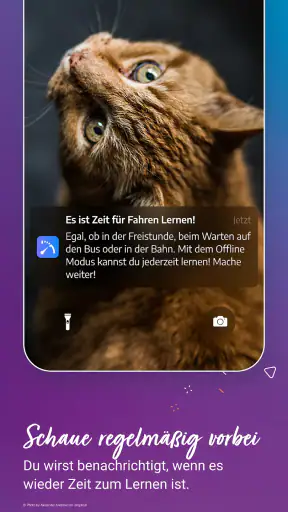 Fahren Lernen 2025 screenshot