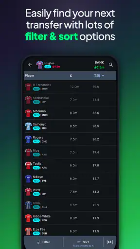 Fantasy Football Manager (FPL) screenshot