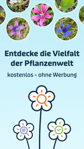 Flora Incognita screenshot