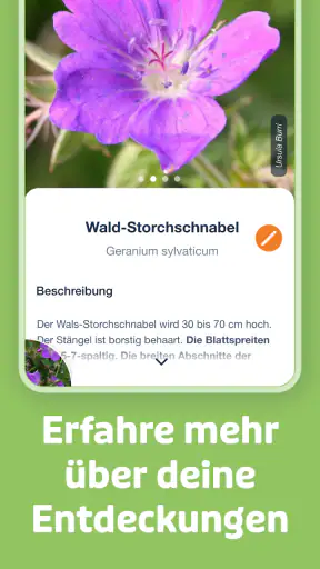 Flora Incognita screenshot
