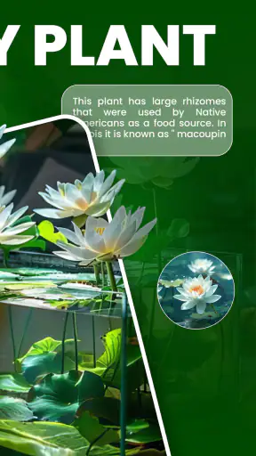 Florify: AI Plant Identifier screenshot