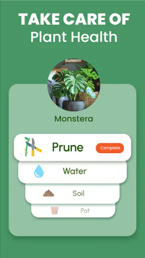 Florify: AI Plant Identifier screenshot