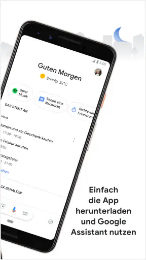 Google Assistant screenshot