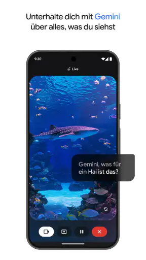 Google Gemini screenshot