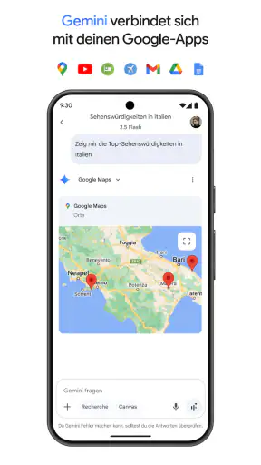 Google Gemini screenshot
