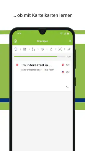 Green Line Vokabeltrainer screenshot