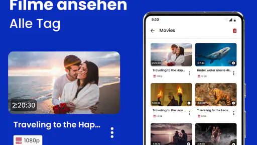 HD-Videoplayer :VIDFO screenshot