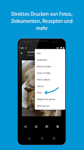 HP Druckdienst-Plug-In screenshot
