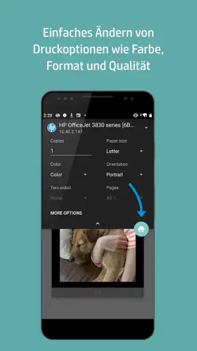 HP Druckdienst-Plug-In screenshot