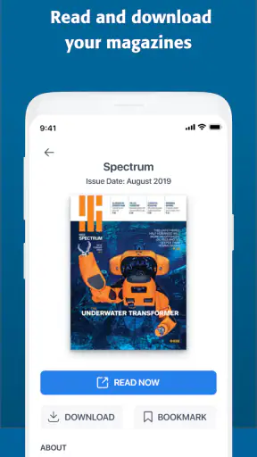 IEEE screenshot