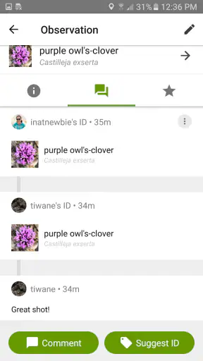 iNaturalist screenshot