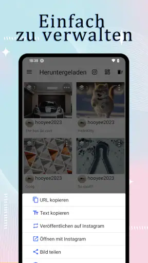 InstSaver: Video-Downloader screenshot