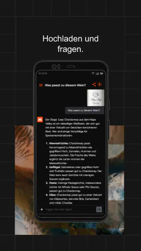 Le Chat by Mistral AI screenshot