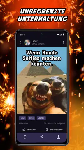 Lustige Witze, Sprüche & Memes screenshot